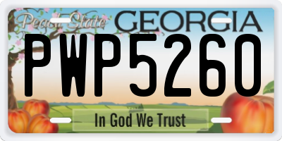 GA license plate PWP5260