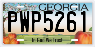 GA license plate PWP5261