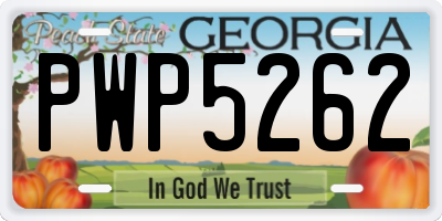 GA license plate PWP5262
