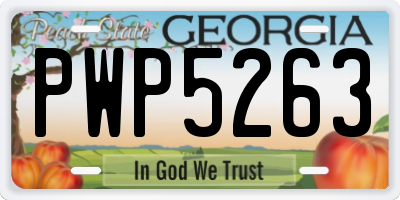GA license plate PWP5263