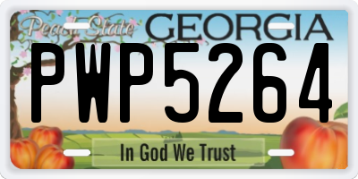 GA license plate PWP5264