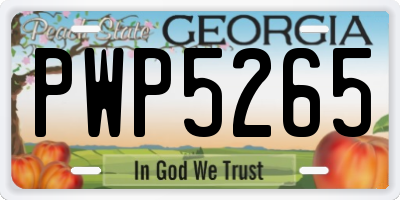GA license plate PWP5265
