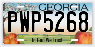 GA license plate PWP5268