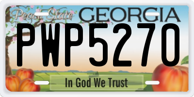 GA license plate PWP5270