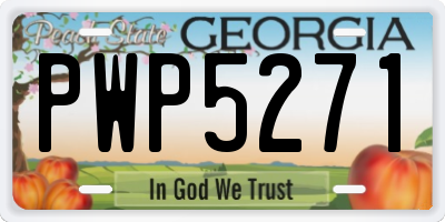 GA license plate PWP5271