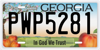 GA license plate PWP5281