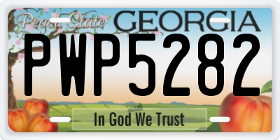 GA license plate PWP5282