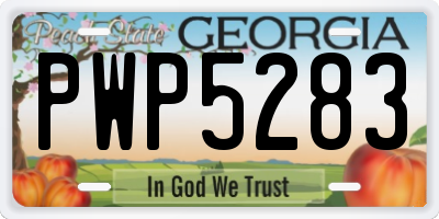 GA license plate PWP5283