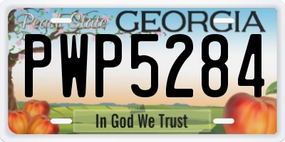 GA license plate PWP5284