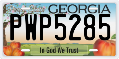 GA license plate PWP5285