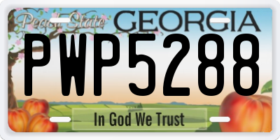 GA license plate PWP5288