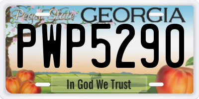 GA license plate PWP5290