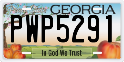 GA license plate PWP5291