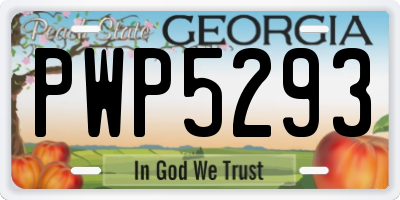 GA license plate PWP5293