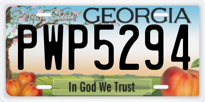GA license plate PWP5294