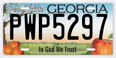 GA license plate PWP5297