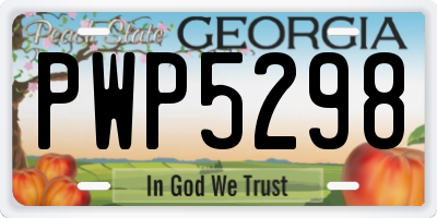 GA license plate PWP5298