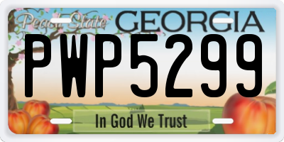 GA license plate PWP5299