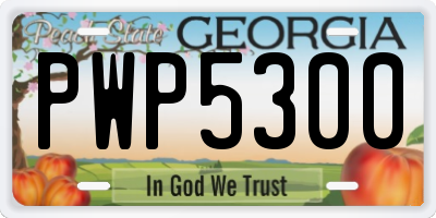 GA license plate PWP5300