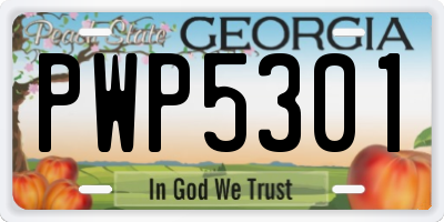GA license plate PWP5301