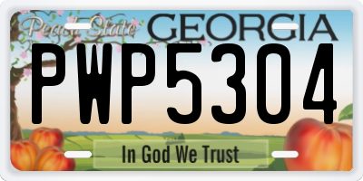 GA license plate PWP5304