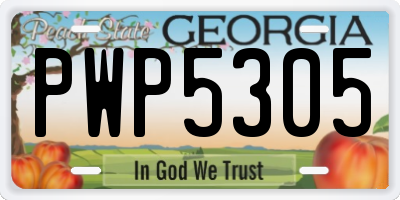 GA license plate PWP5305