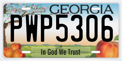 GA license plate PWP5306