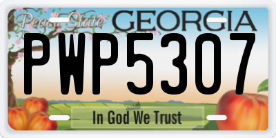 GA license plate PWP5307