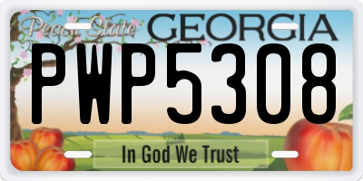 GA license plate PWP5308