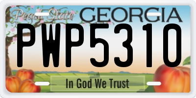 GA license plate PWP5310