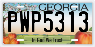 GA license plate PWP5313