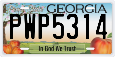GA license plate PWP5314