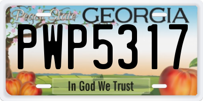 GA license plate PWP5317