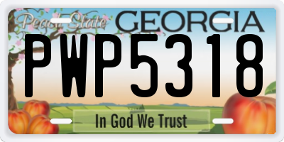 GA license plate PWP5318