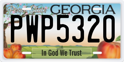 GA license plate PWP5320