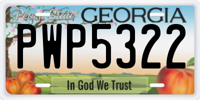 GA license plate PWP5322