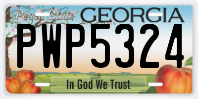 GA license plate PWP5324