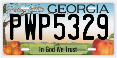 GA license plate PWP5329