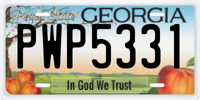 GA license plate PWP5331