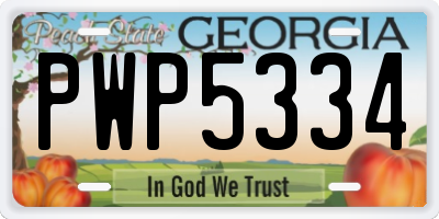GA license plate PWP5334