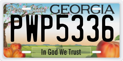 GA license plate PWP5336