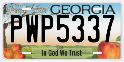 GA license plate PWP5337