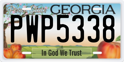 GA license plate PWP5338