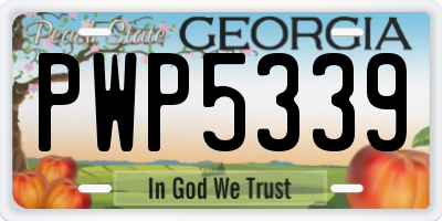 GA license plate PWP5339