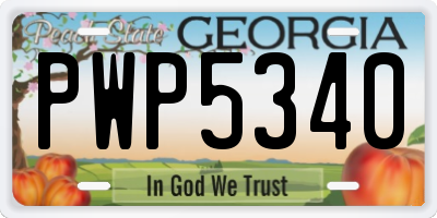 GA license plate PWP5340
