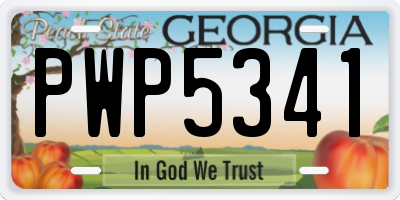GA license plate PWP5341