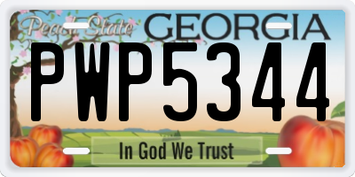 GA license plate PWP5344