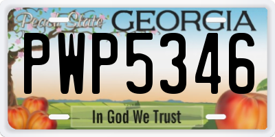 GA license plate PWP5346