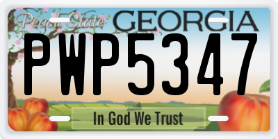 GA license plate PWP5347