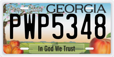 GA license plate PWP5348
